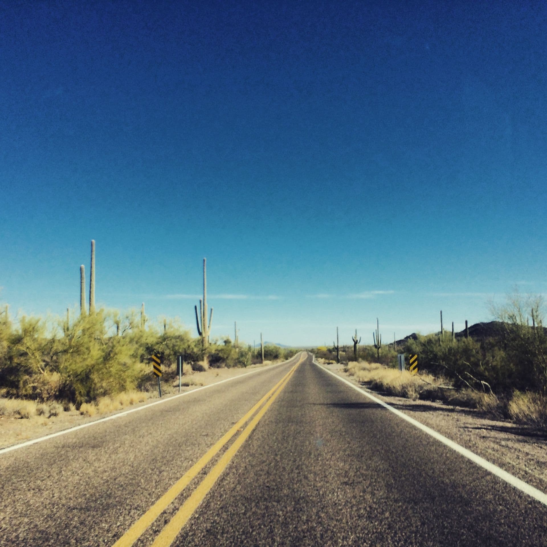 Automobile Liability